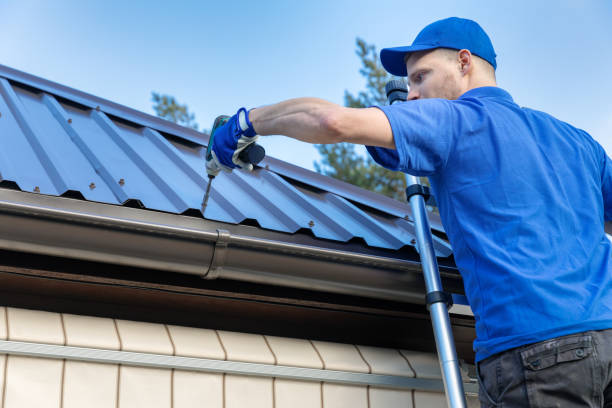 Best Roof Moss and Algae Removal  in Piney Mountain, VA