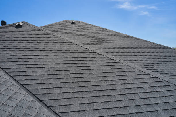 Best Roof Maintenance and Cleaning  in Piney Mountain, VA